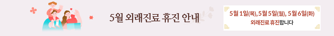25년 5월 임시공휴일